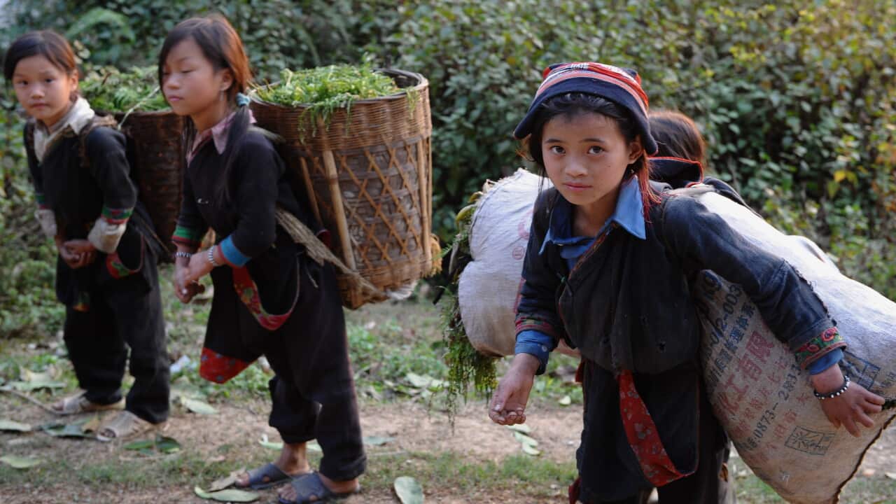 Many Vietnamese families are unaware that their children are working up to 18 hours a day in harsh conditions - Getty-001.jpg
