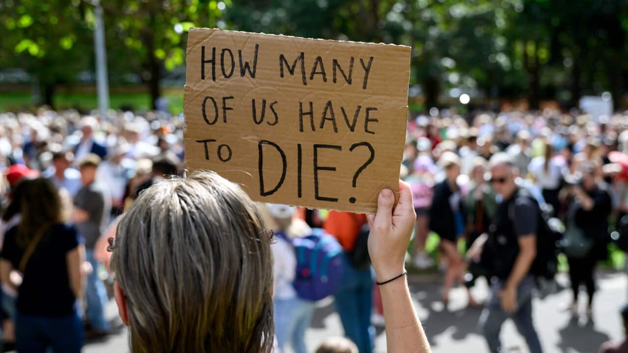 A woman holds up a sign that says "how many of us have to die?"