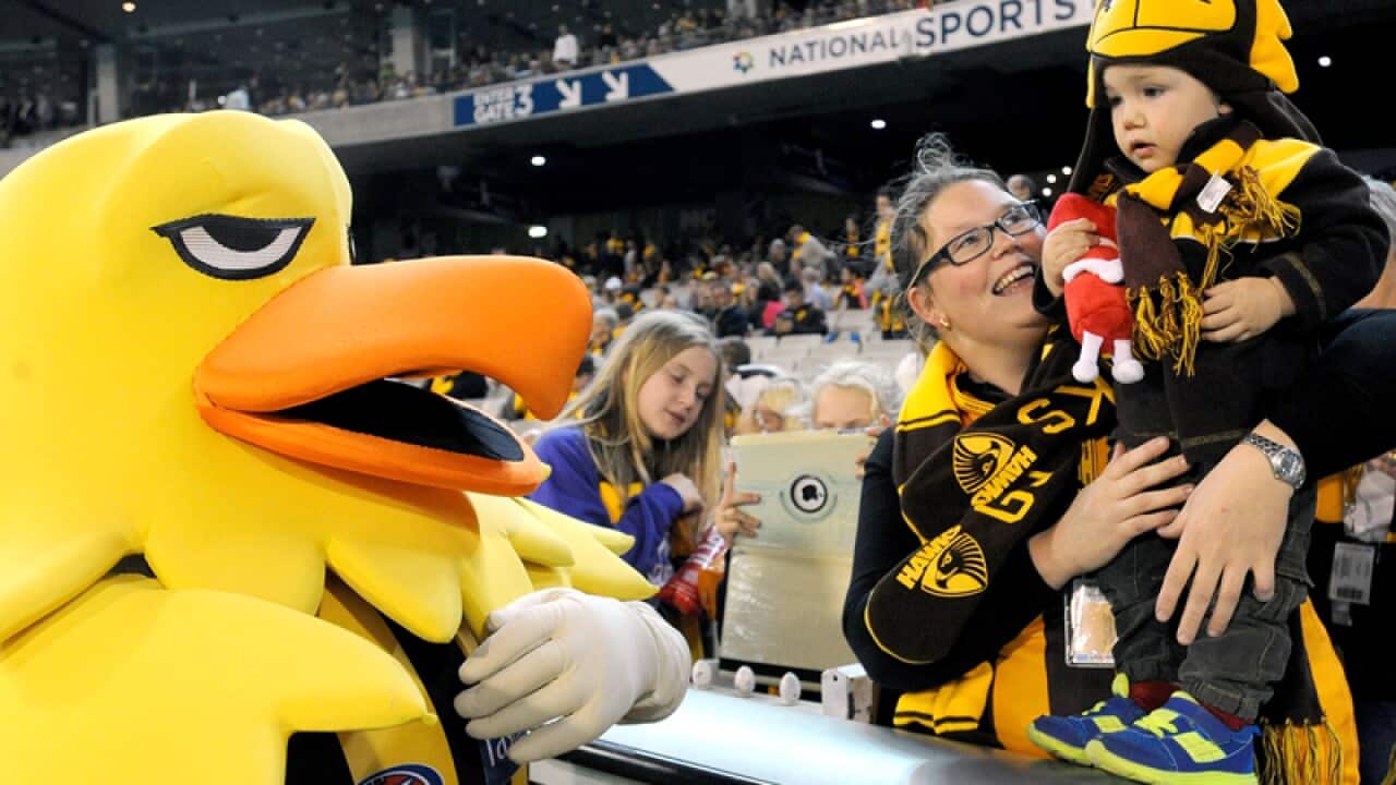 Hawker the mascot entertains fans at the MCG in Melbourne