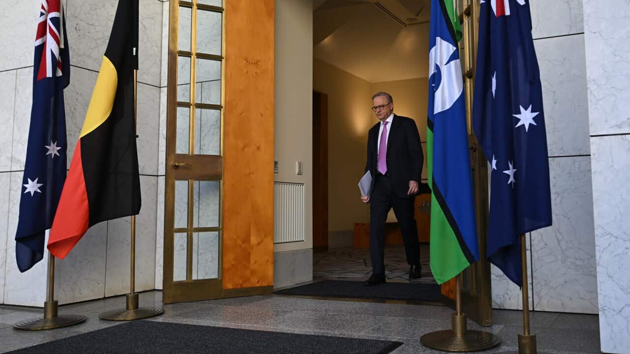 ANTHONY ALBANESE PRESSER