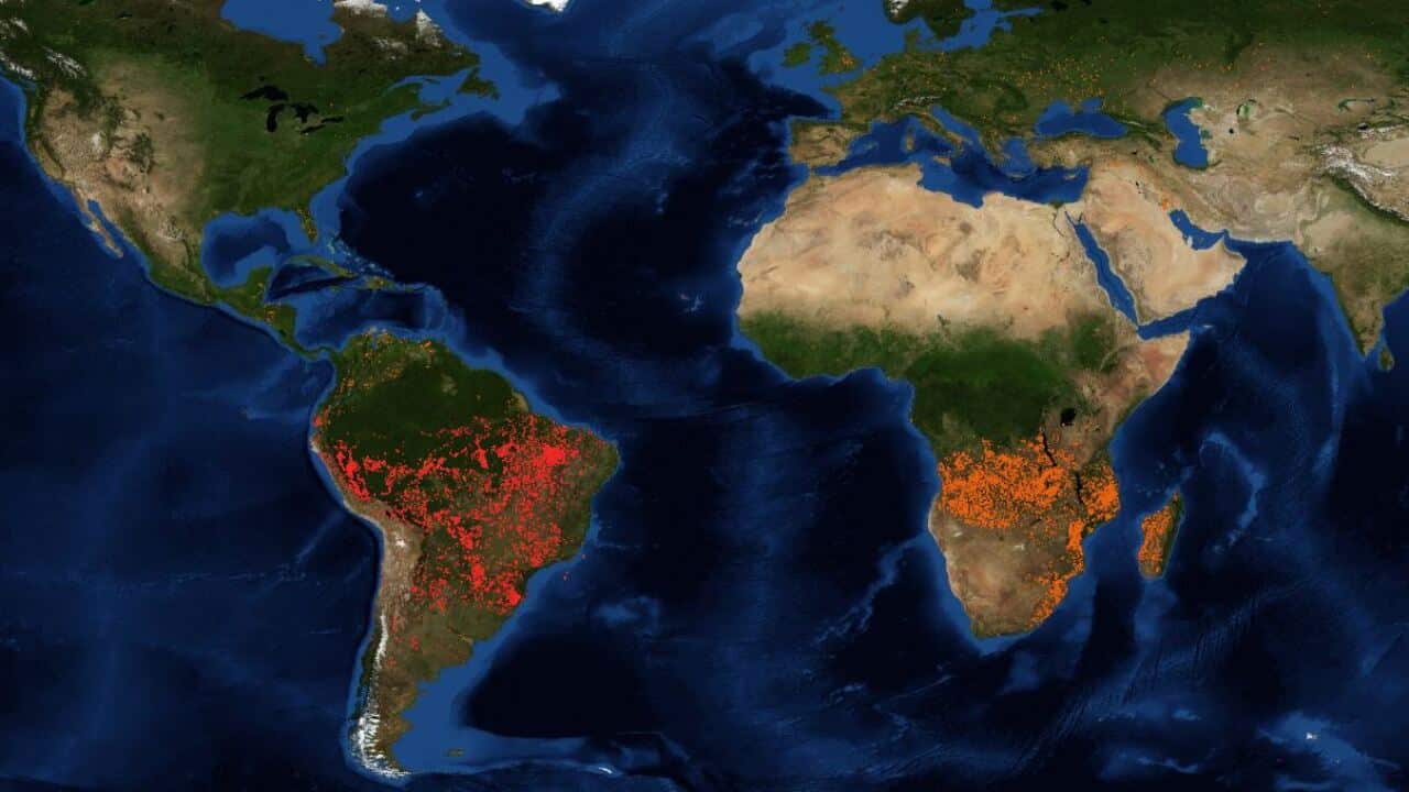 NASA Fire Information Resource shows fires in Africa.