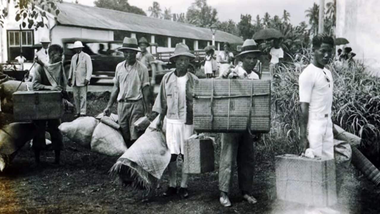 Chinese in Samoa - Journal of Samoan Studies.jpg