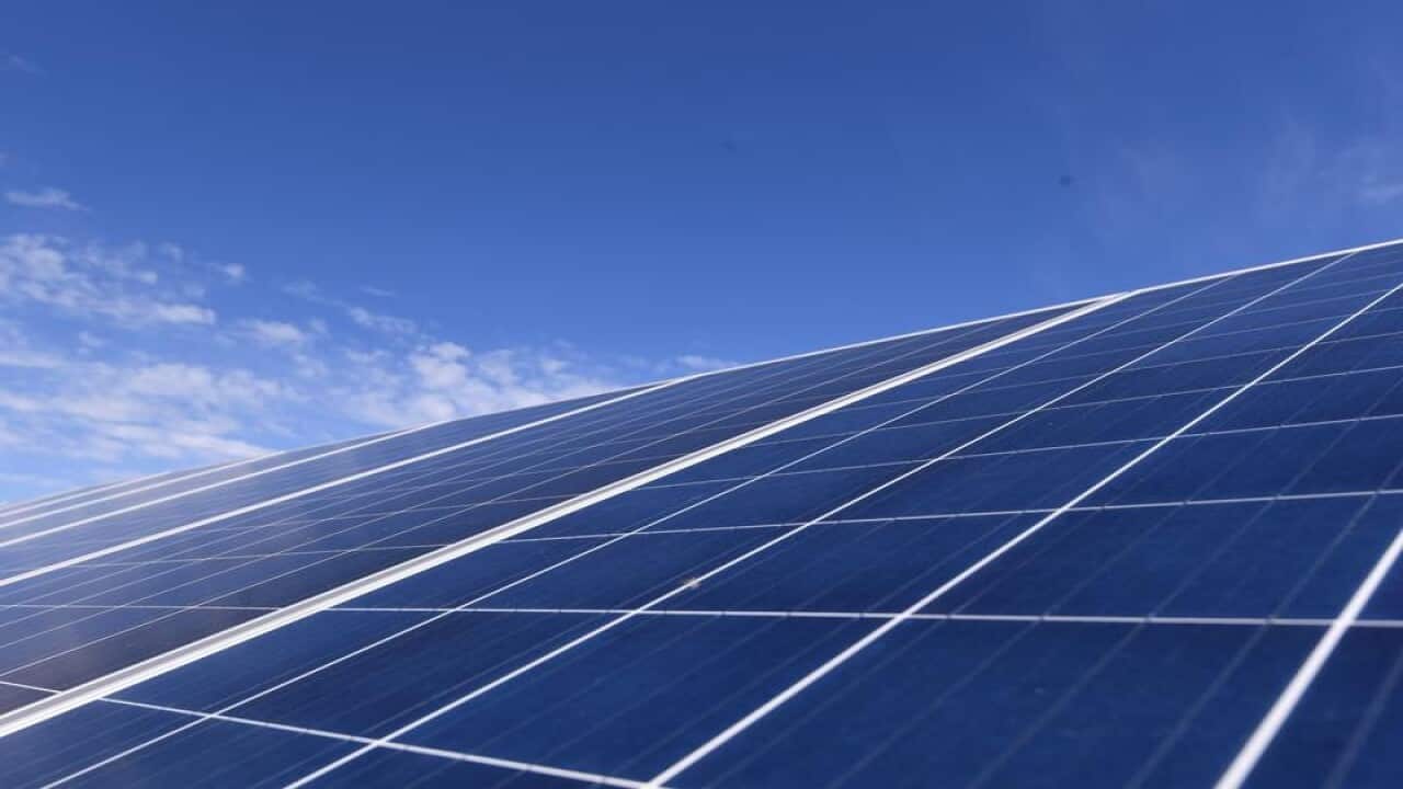Solar panels are seen