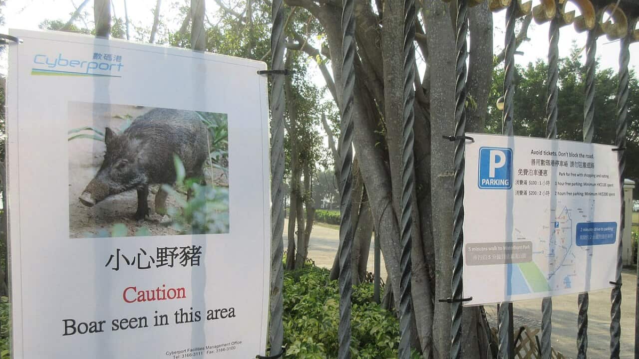 Image for read more article ''