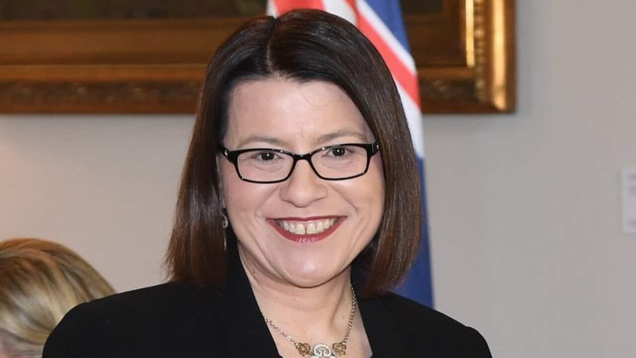 Jenny Mikakos MP in the Drawing room at Government House, Melbourne, Thursday, November 29, 2018.