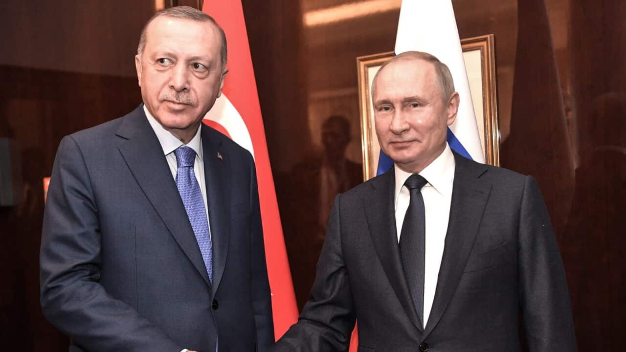 Turkish President Recep Tayyip Erdogan (L) shakes hands with Russian President Vladimir Putin, during their meeting