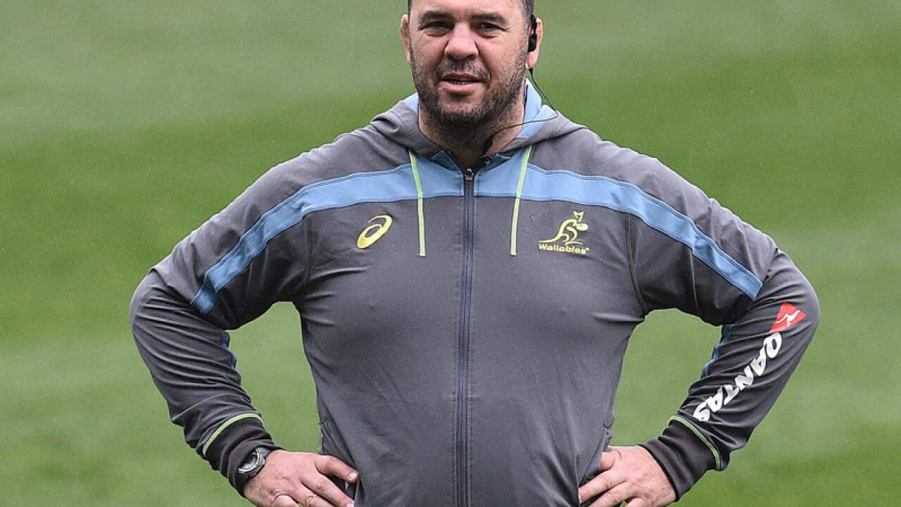 Australian Wallabies coach Michael Cheika