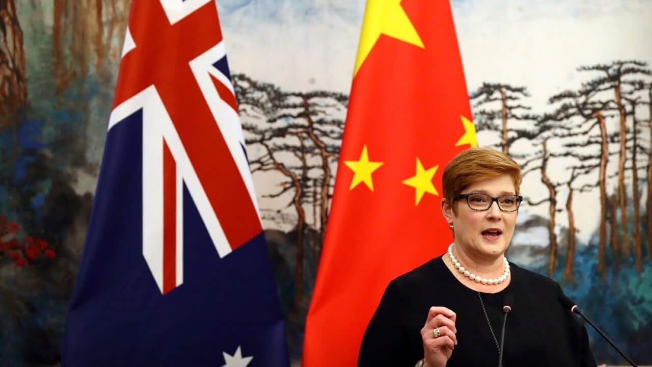 Australian Foreign Minister Marise Payne speaks during a joint press conference with Chinese Foreign Minister Wang Yi in China.