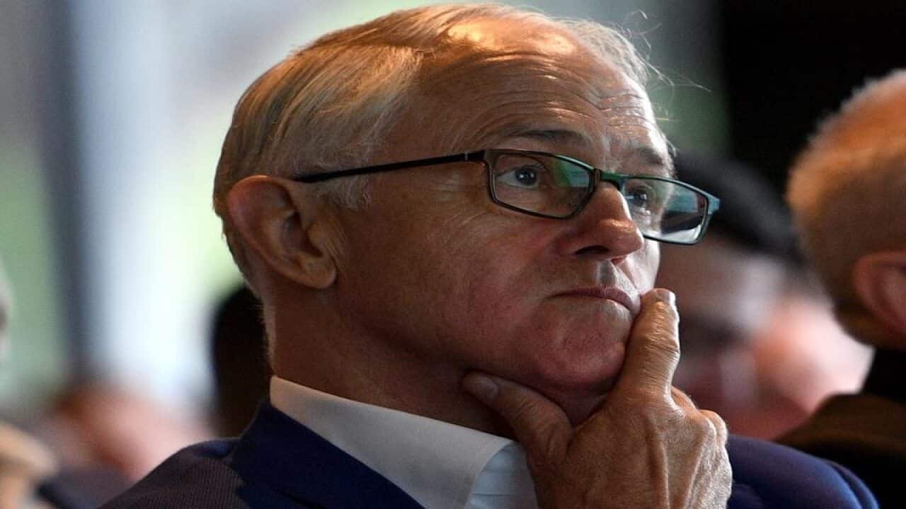 malcolm turnbull