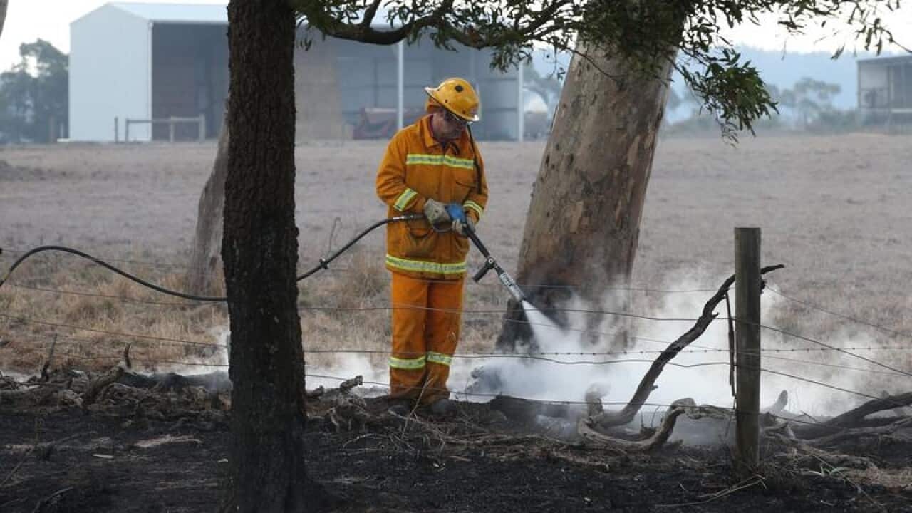 A firefighter puts out a hot spot near Cobden, Victoria