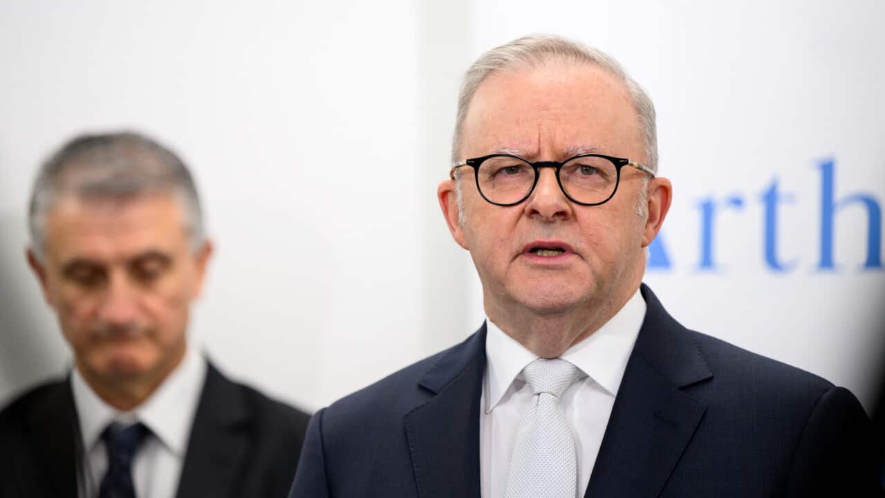 ANTHONY ALBANESE PRESSER