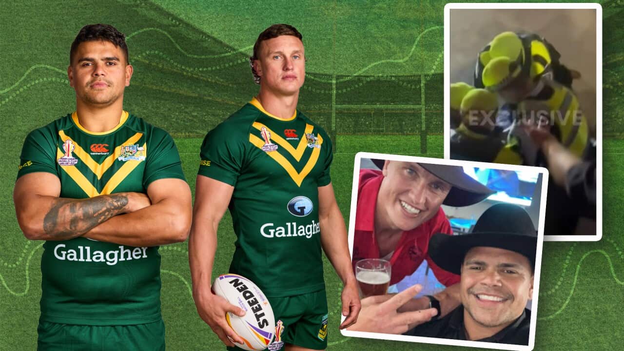 NRL fight web header.jpg