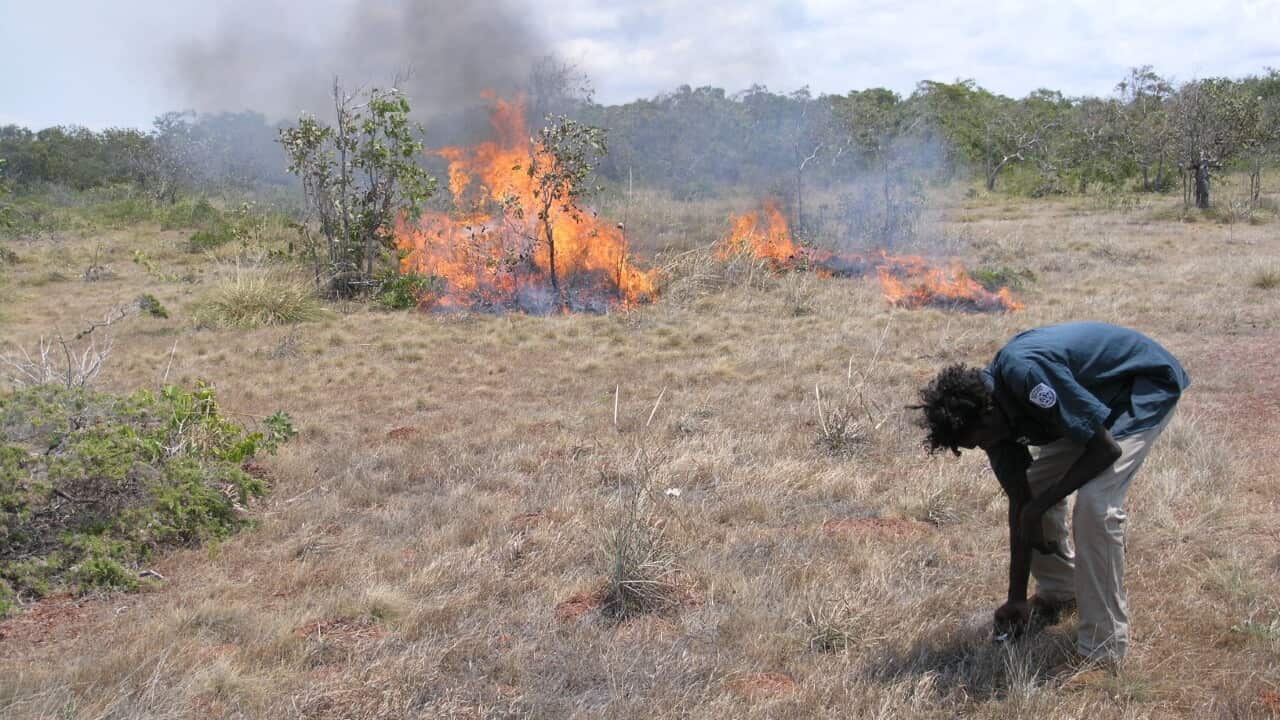 Burning Garanhan