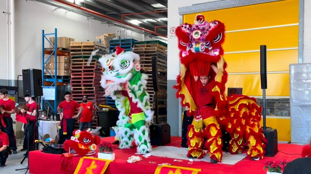 Image for read more article 'READ MORE'