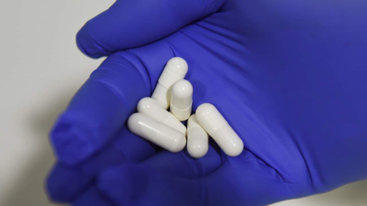 Medicinal cannabis in pill-form during a trial in a Sydney hospital