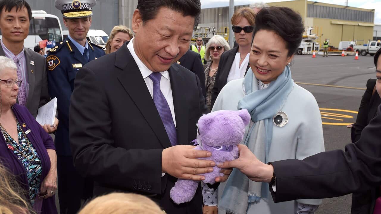 Chinese President Xi Jinping (C) and his wife Madame Peng Liyuan (R) are presented with a Lavender Bear as they arrive in Hobart (AAP Image/AFP Pool, William West)