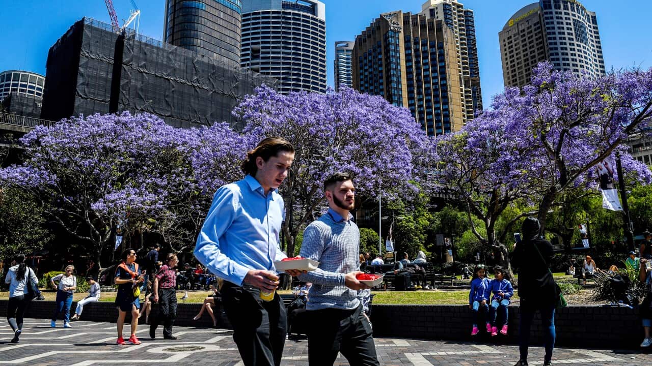 AUSTRALIAN DAILY LIFE