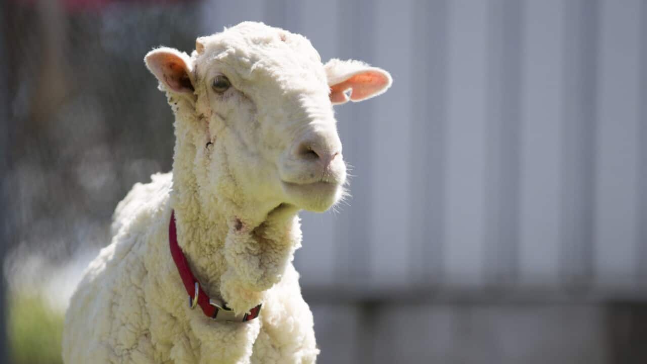 Image for read more article ''