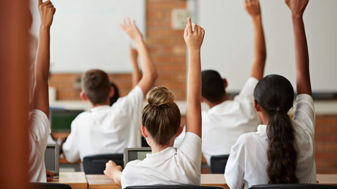 School students with raised hands, back view