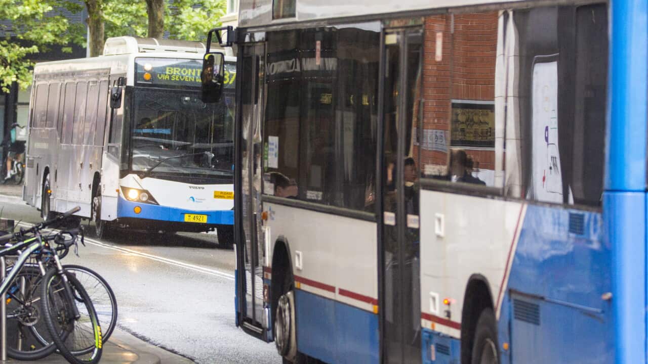 Two blue-and-white public buses travel along a city street lined with trees and bicycle racks in Sydney.