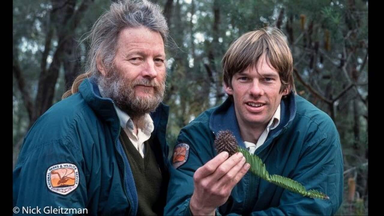 Dr Wyn Jones and Dave Noble with the Wollemi pine in 1994