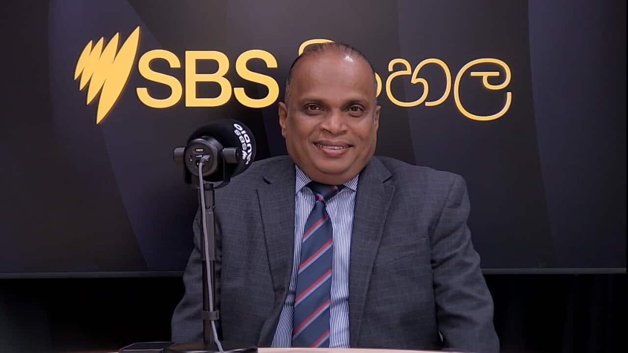 SBS Sinhala Chandana Amaradasa - Ceylon Chamber of Commerce Island Leisure Sri Lanka.jpg