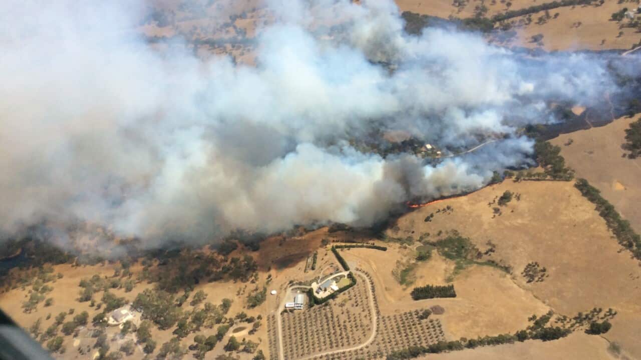 An aerial image of the Mosquito Hill fire in South Australia.