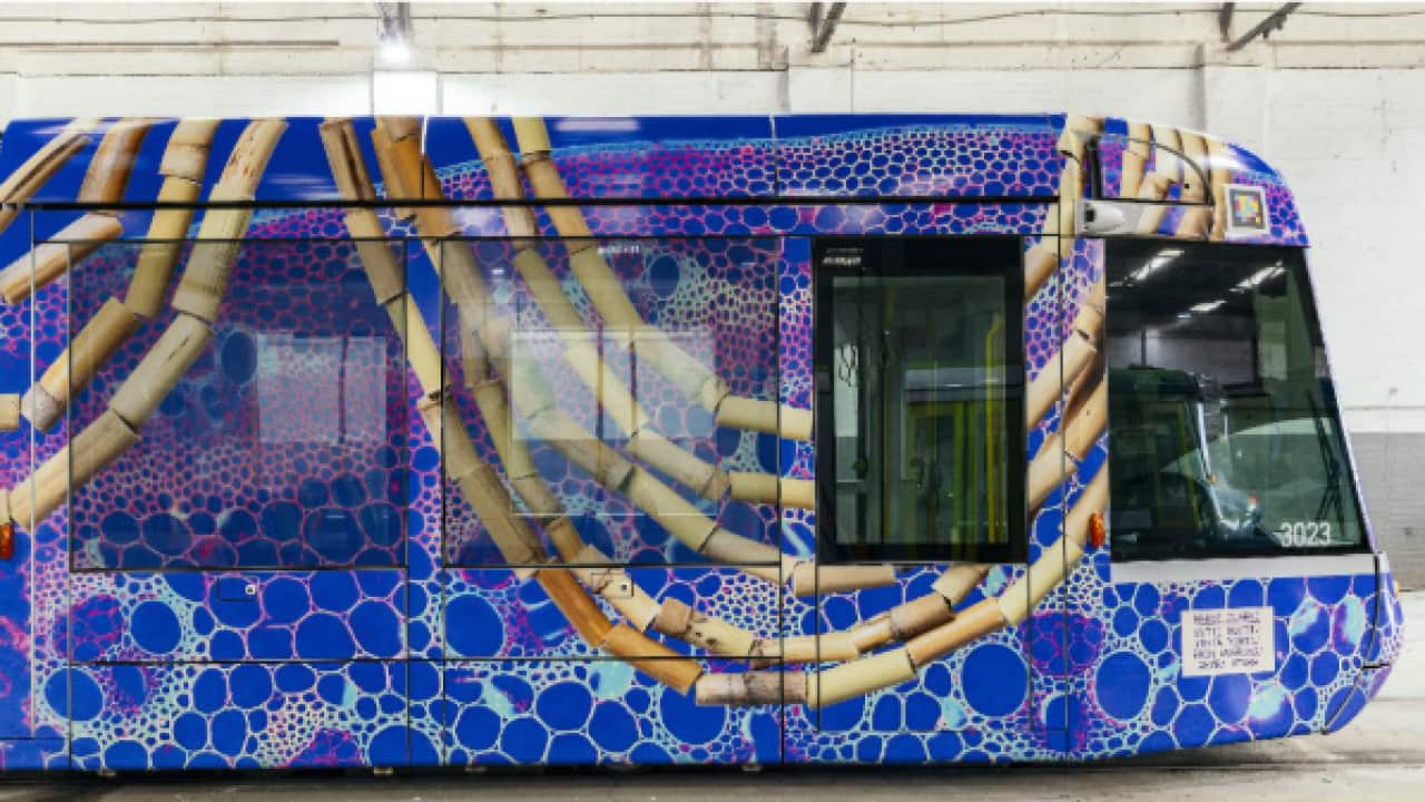 First Peoples Melbourne Art Trams, artwork Barerarerungar - now you see me - seeing the invisible