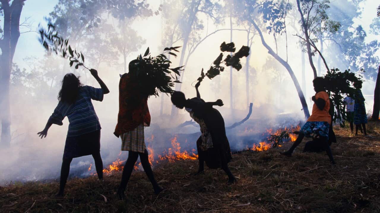 Aboriginal children from Ramingining school beat out an approaching bushfire, Arnhem Land