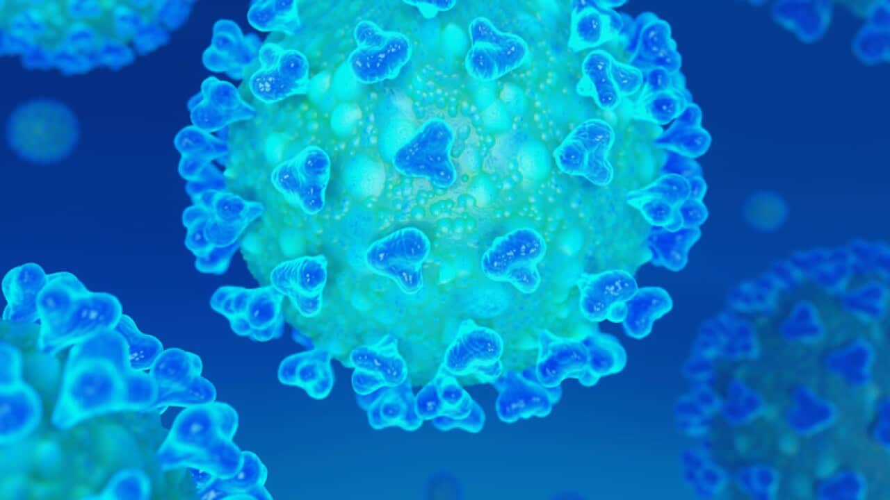 Image for read more article 'READ MORE'