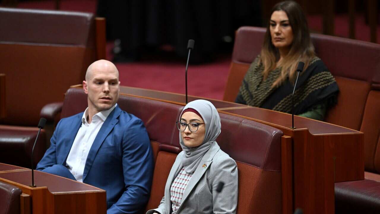 SENATE PALESTINE MOTION