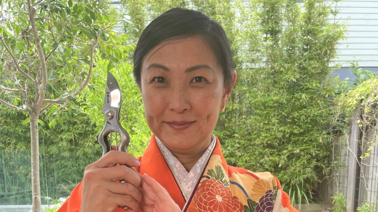 Yuko Nakao imports Japanese blades