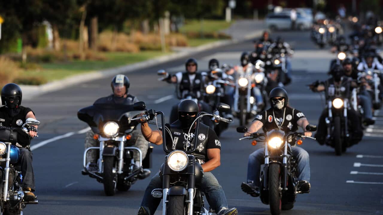 bikie_gangs_aap_131008.jpg
