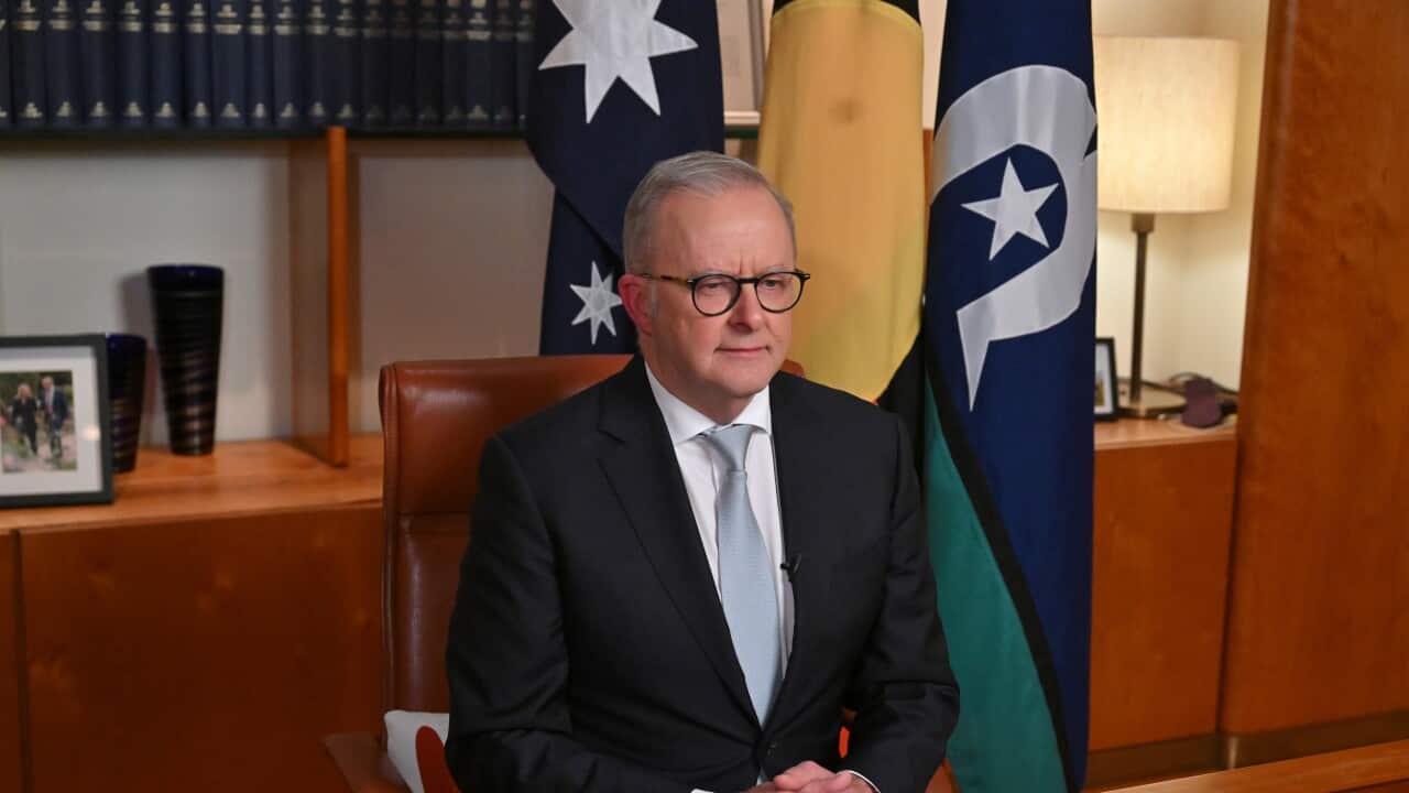 ANTHONY ALBANESE NATIONAL BROADCAST