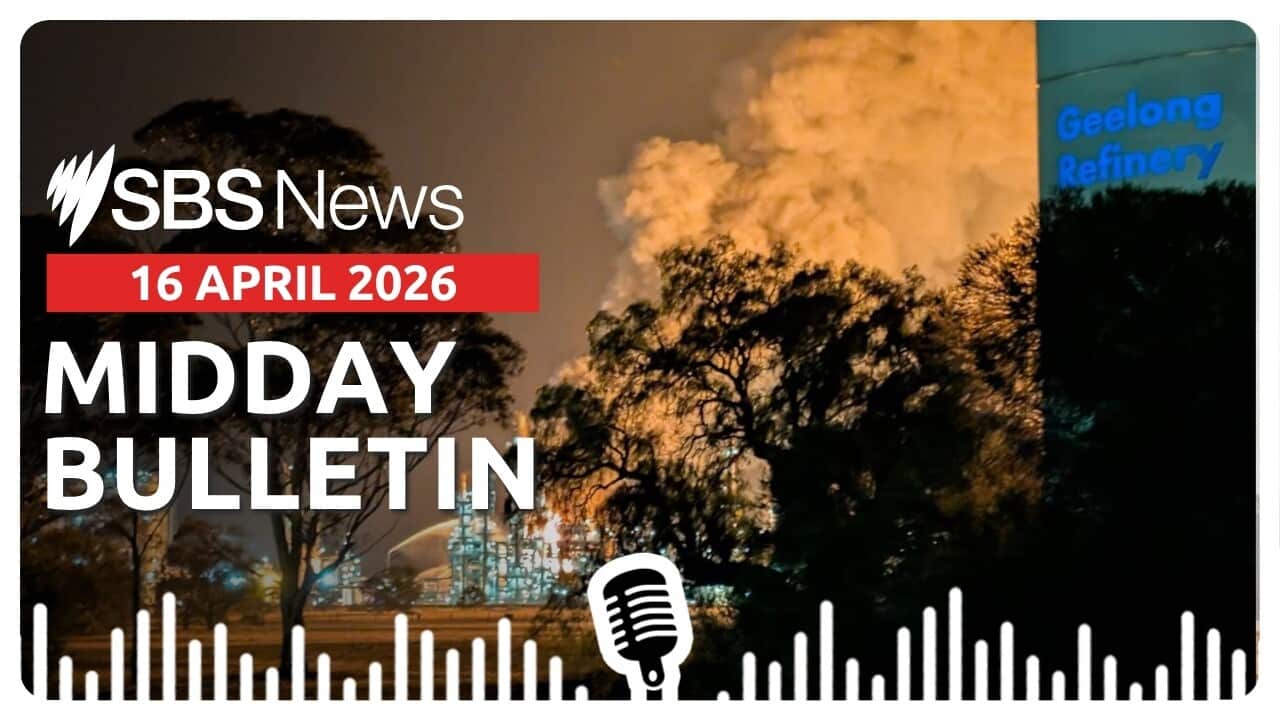 MIDDAY BULLETIN (160426).jpg