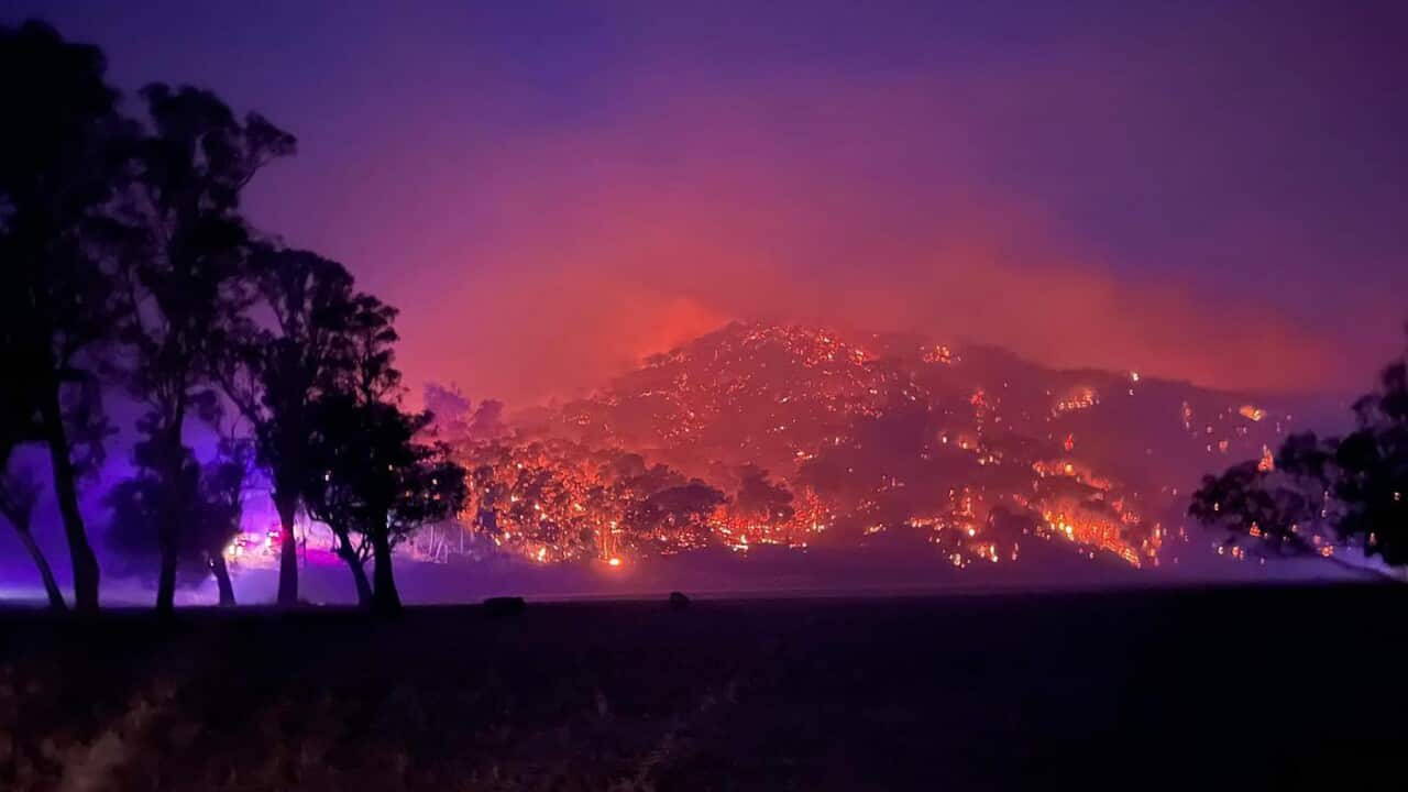 GRASSFIRE VICTORIA