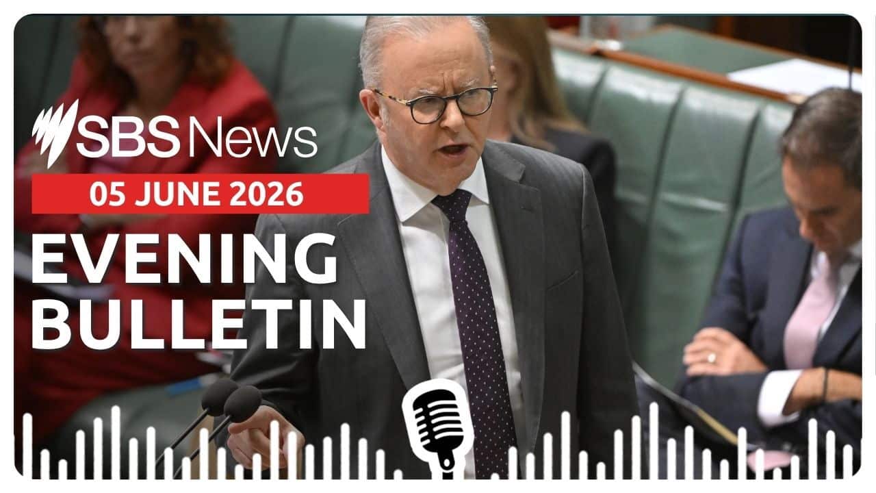 Evening News Bulletin 5 June 2026 (AAP).jpg