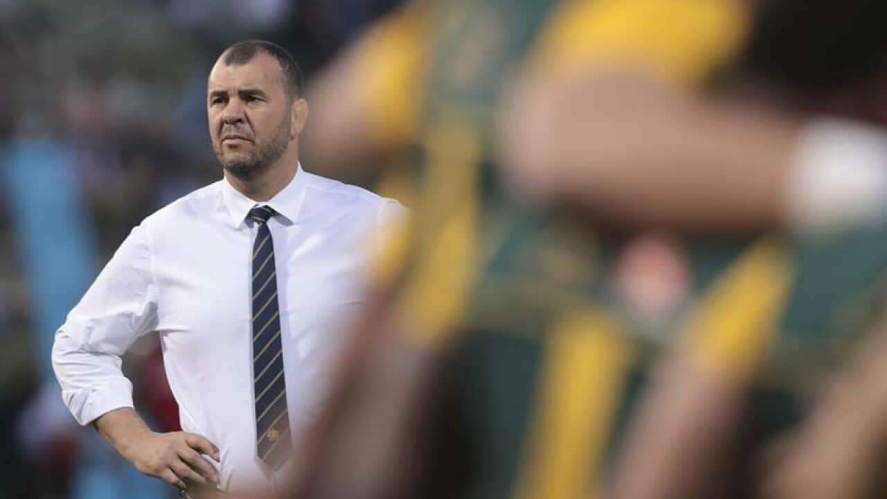 Michael Cheika