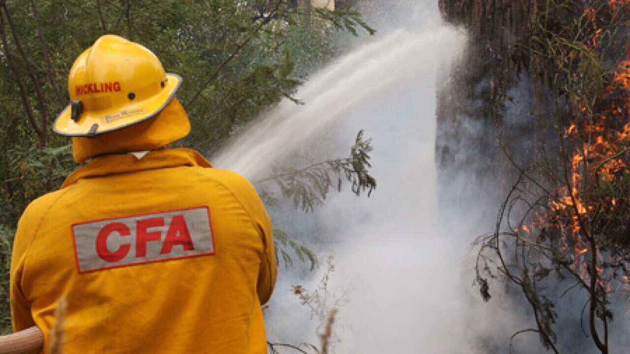 CFA_firey_1002_B_getty_1227356148
