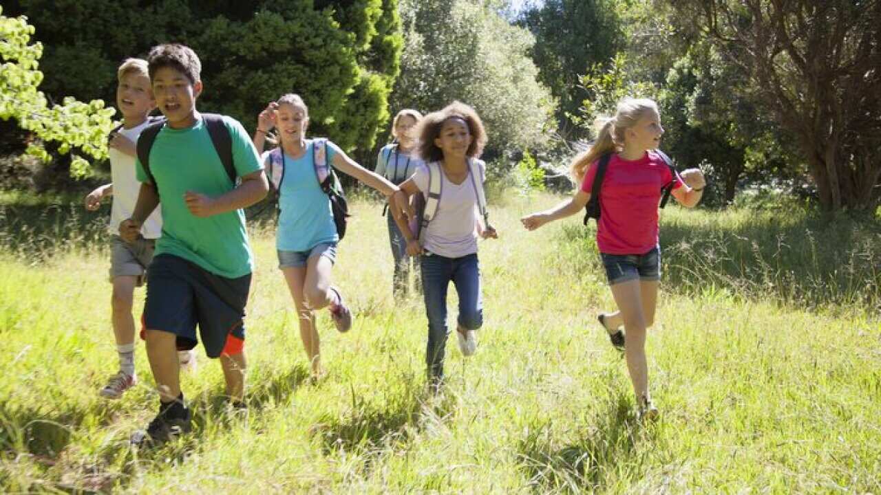 Children on a school field trip in nature