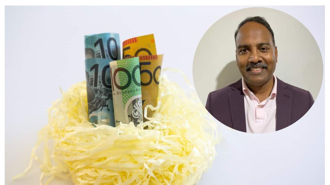 A little nest egg of savings for the future