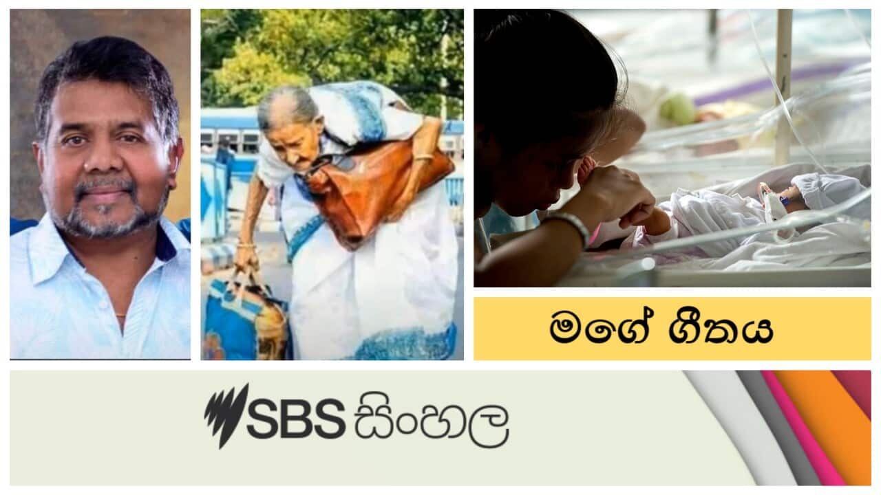 SBS Sinhala Radio _ My song musical program