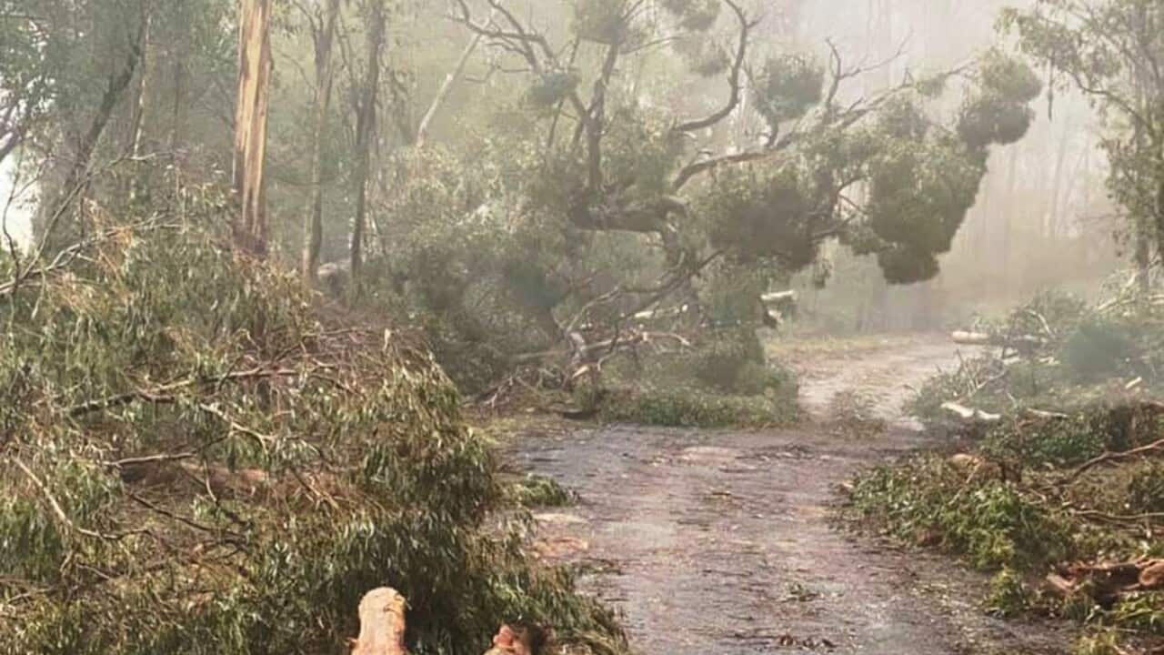 A number of roads remain closed in Gippsland after strong winds and heavy rain hit the region