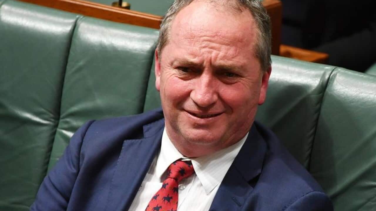 Deputy Prime Minister Barnaby Joyce during Question Time.