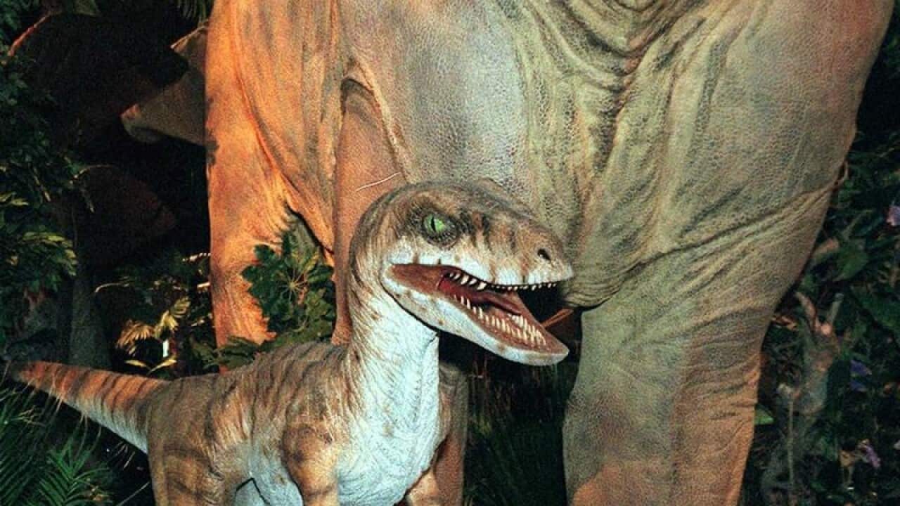 Velociraptor
