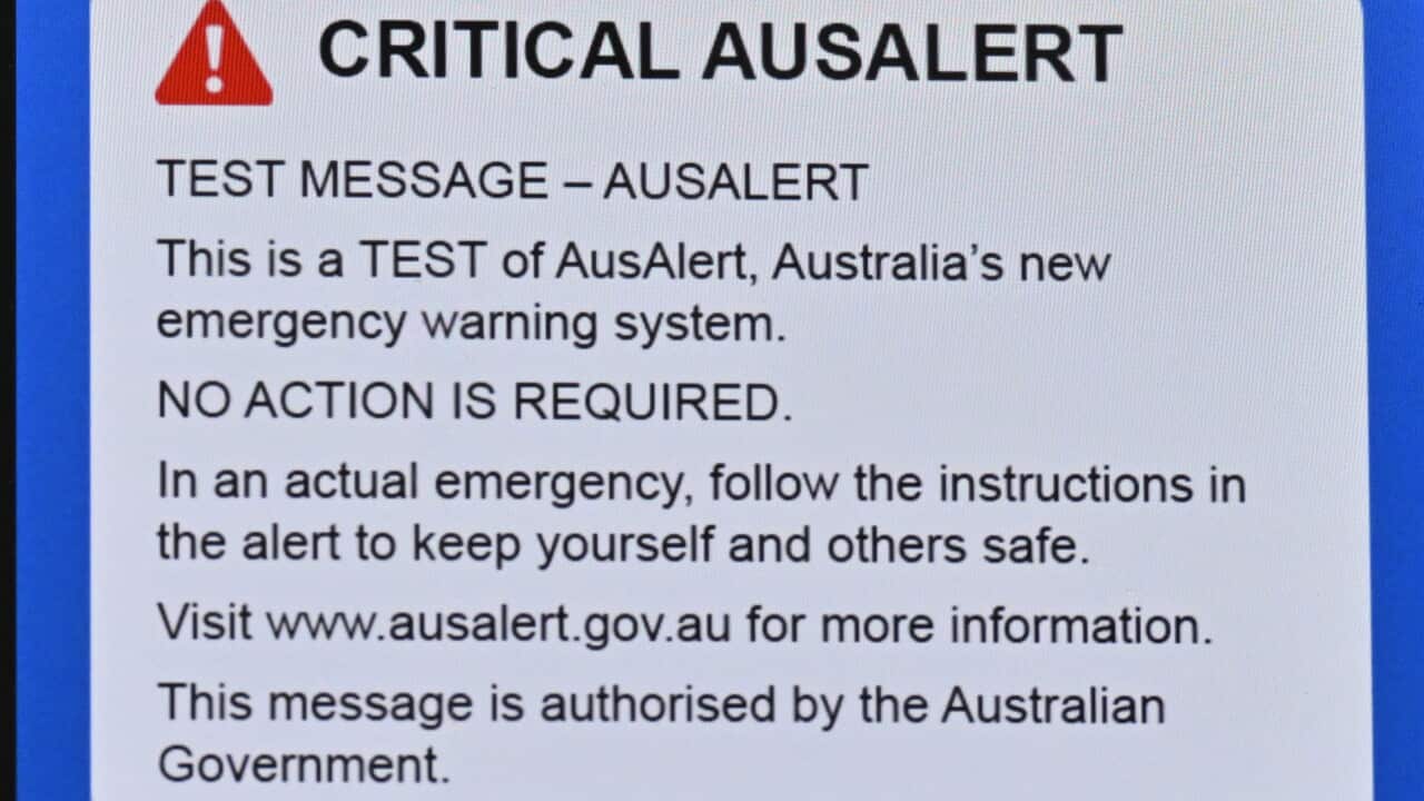 AUSALERT STOCK