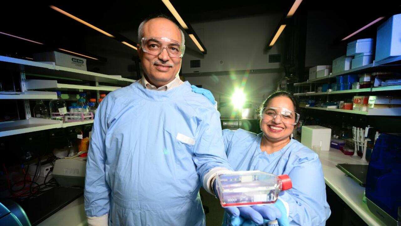 Image for read more article 'More from SBS Punjabi'