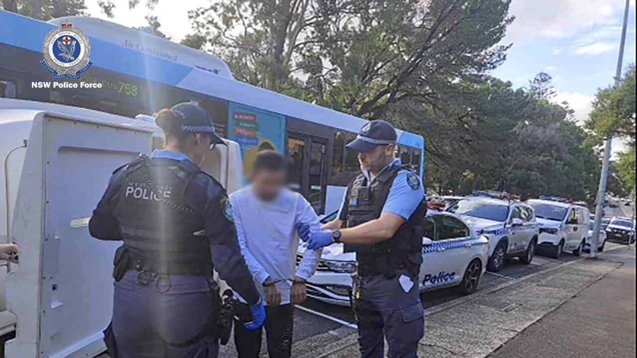 GYM STABBING SYDNEY ARREST