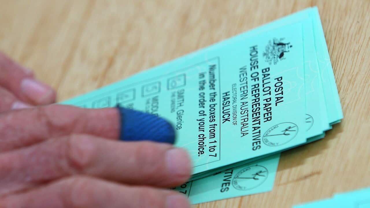 Postal Vote Counting In Marginal Seat Of Hasluck Continues