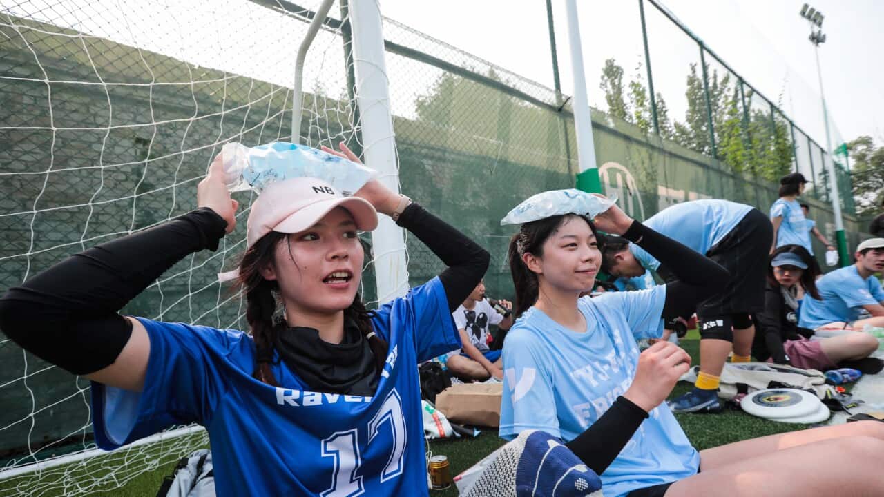 Image for read more article '相關內容'